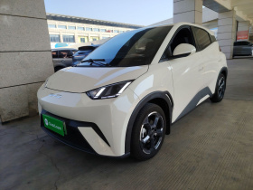 比亚迪 海鸥 2023款 自由版