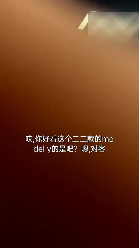 特斯拉 Model Y 2022款 Performance高性能全轮驱动版讲解2