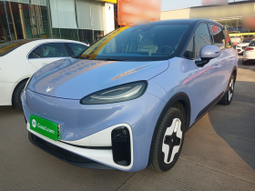 ARCFOX极狐 极狐考拉 2023款 家庭版