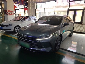 比亚迪 驱逐舰05 2024款 荣耀版 DM-i 55KM 豪华型