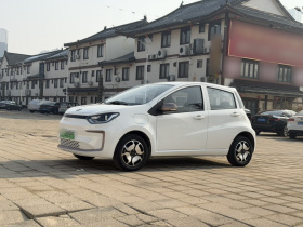 思皓 花仙子 2021款 200km 经典型