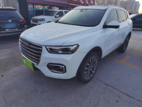 哈弗H6 2020款 1.5GDIT 自动铂金冠军版