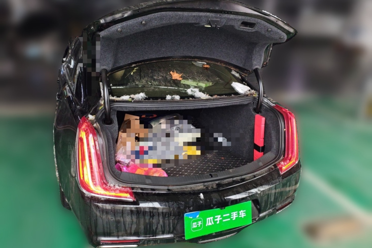 凯迪拉克XTS 2018款 28T 精英型局部细节23