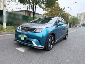 比亚迪 海豚 2021款 401km 骑士版