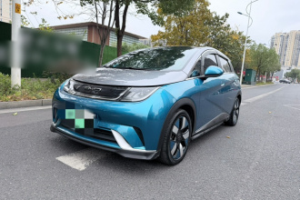 比亚迪 海豚 2021款 401km 骑士版