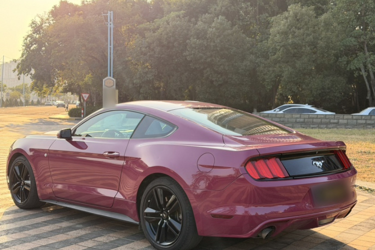 福特Mustang（平行进口） 车身外观6009