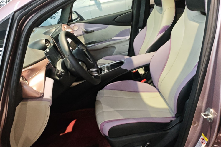 比亚迪 海豚 2021款 405km 时尚版局部细节19