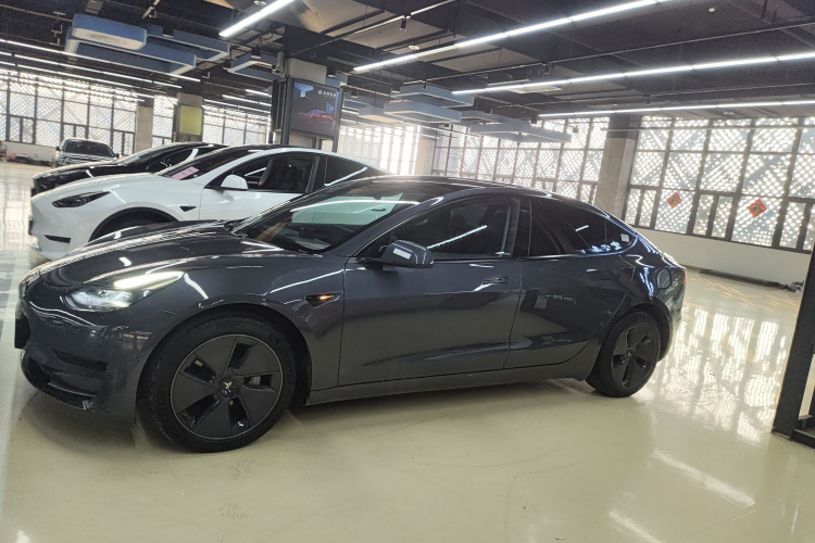 特斯拉 Model 3 2021款 标准续航后驱升级版车身外观6003