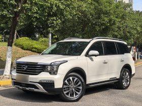 广汽传祺 传祺GS8 2017款 320T 两驱豪华智联版（七座）