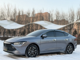 比亚迪 秦PLUS 2024款 荣耀版 DM-i 55KM领先型