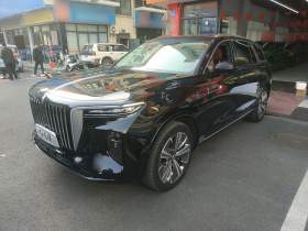 红旗E-HS9 2021款 460km 旗享版 六座