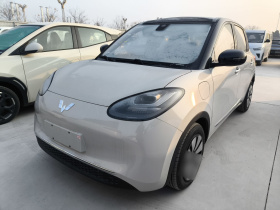 五菱汽车 五菱缤果 2025款 333km 悦享款