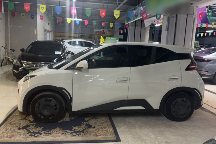 比亚迪 海鸥 2023款 活力版车身外观6005