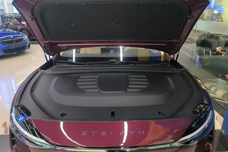 鸿蒙智行 享界S9 2025款 增程 Ultra局部细节24