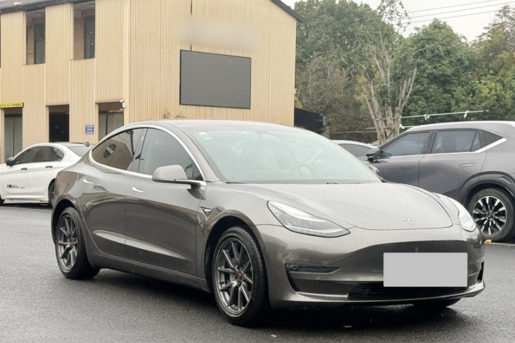 特斯拉 Model 3(进口) 2019款 长续航后驱版车身外观6005