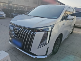 广汽传祺 传祺M8 2024款 大师系列 400T 至尊版