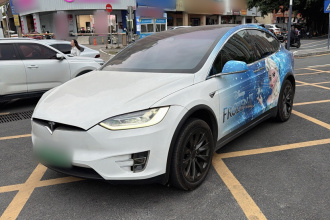 特斯拉 Model X 2019款 长续航版