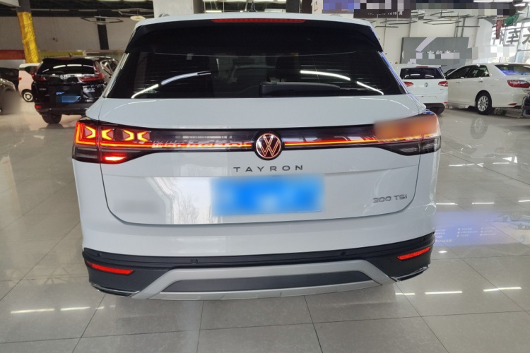 大众 探岳 2024款 300TSI 两驱豪华Plus进阶版车身外观6