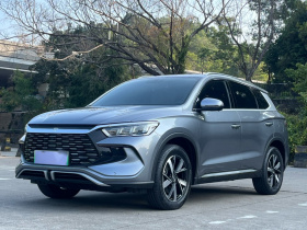 比亚迪 宋Pro新能源 2024款 荣耀版 DM-i 71KM领航型