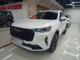 哈弗H6 2021款 第三代 2.0T 自动四驱Max