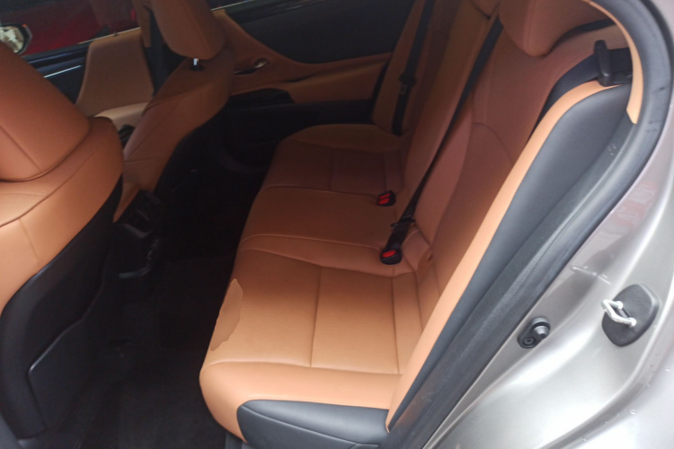 雷克萨斯ES 2023款 200 卓越版中控内饰7004