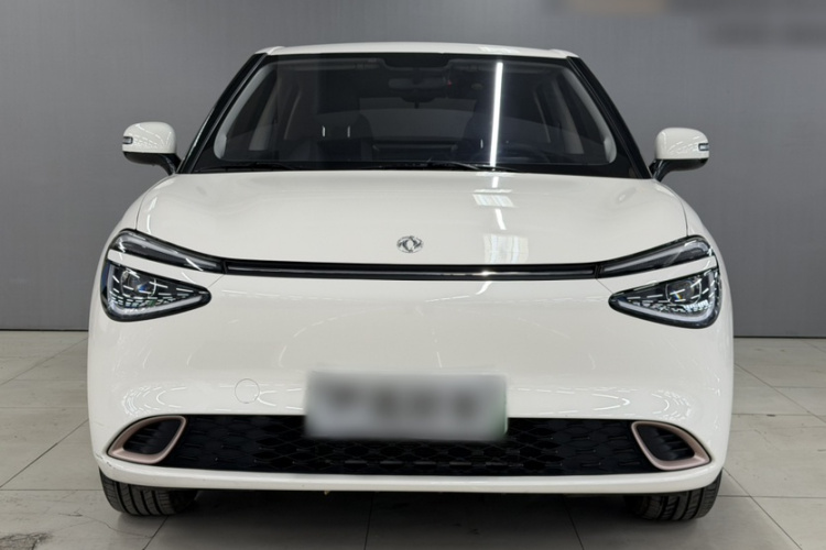 东风纳米 纳米01 2024款 430 Air车身外观6004