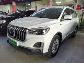 SWM斯威汽车 SWM斯威G05 2019款 2.0L 手动豪华型