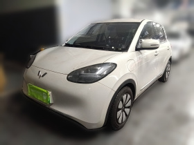 五菱汽车 五菱缤果 2025款 333km 悦享款