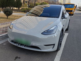 特斯拉 Model Y 2022款 Performance高性能全轮驱动版