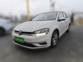 大众 高尔夫 2019款 1.6L 自动舒适型 国V