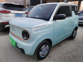 吉利银河 2024款 熊猫mini 200km 耐力熊