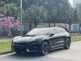 极氪001 2023款 WE版 100kWh