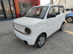 吉利银河 2024款 熊猫mini 200km 耐力熊