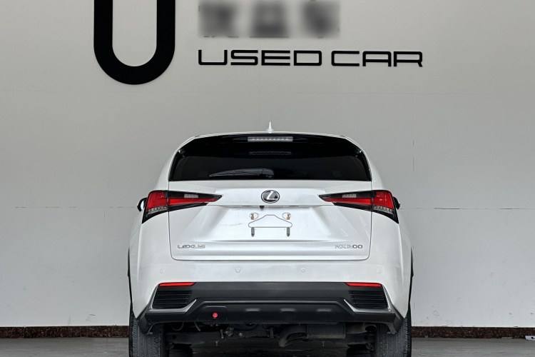 雷克萨斯NX 2020款 200 前驱 锋行版 国VI车身外观6005