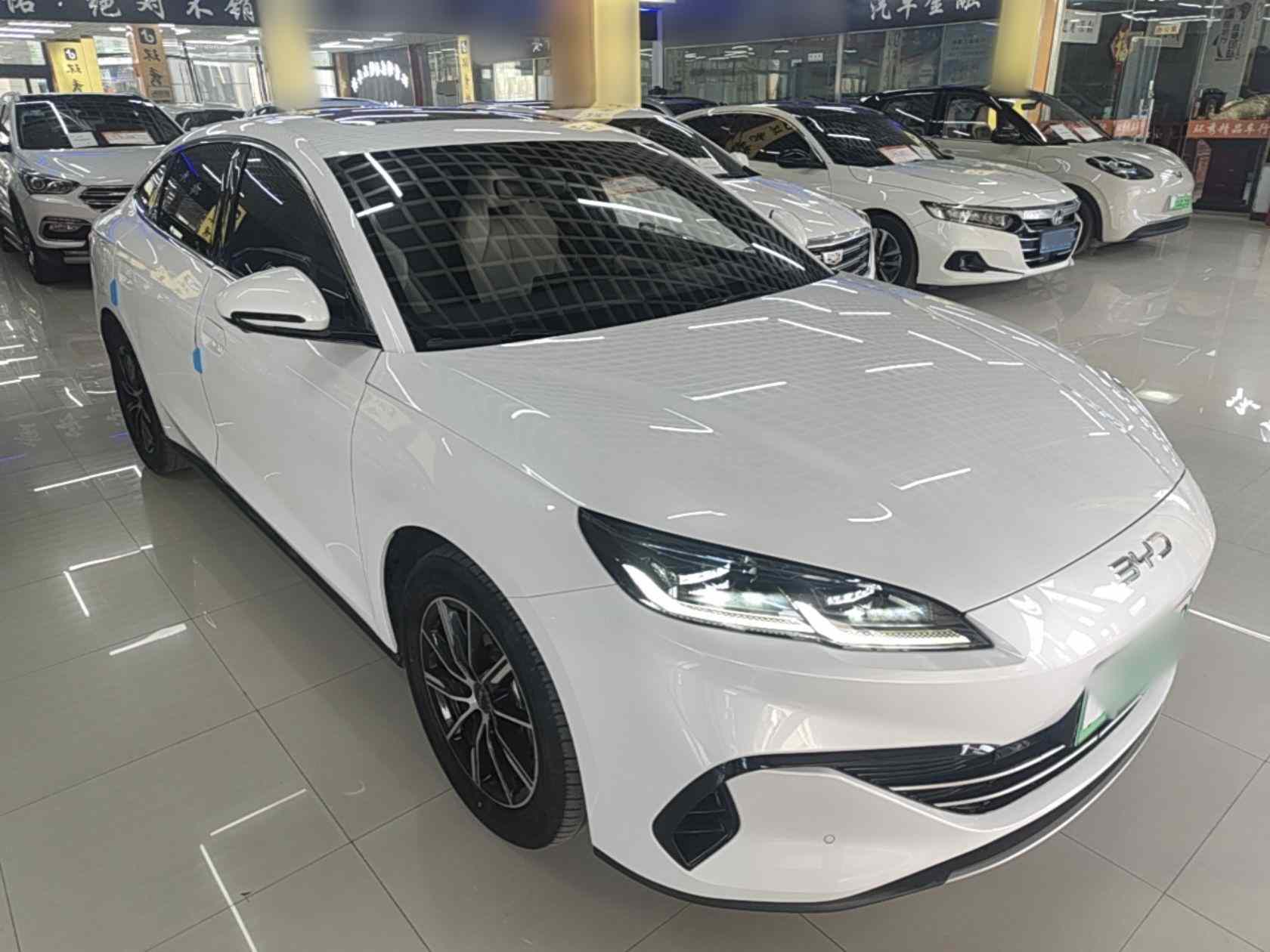 比亚迪 海豹06新能源 2024款 DM-i 120KM尊荣型(5)