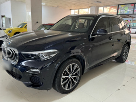 宝马X5(进口) 2020款 xDrive30i M运动套装