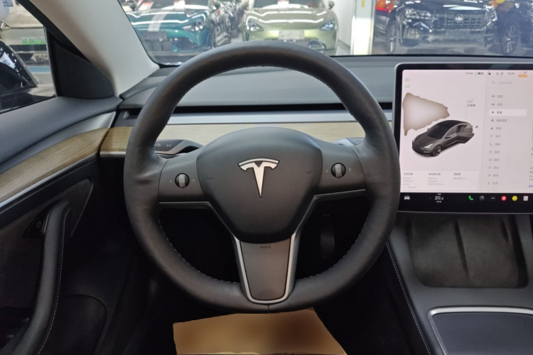 特斯拉 Model 3 2021款 标准续航后驱升级版 3D6局部细节13