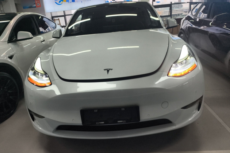 特斯拉 Model Y 2021款 Performance高性能全轮驱动版车身外观2