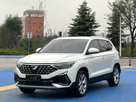 捷达VS5 2023款 280TSI 自动进取型