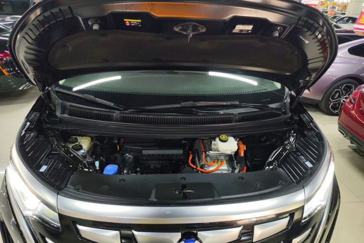 腾势D9 2024款 DM-i 1050 尊享型局部细节24