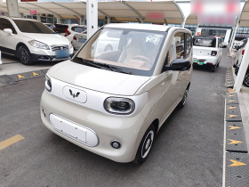 五菱汽车 宏光MINIEV 2024款 第三代 215km 青春版