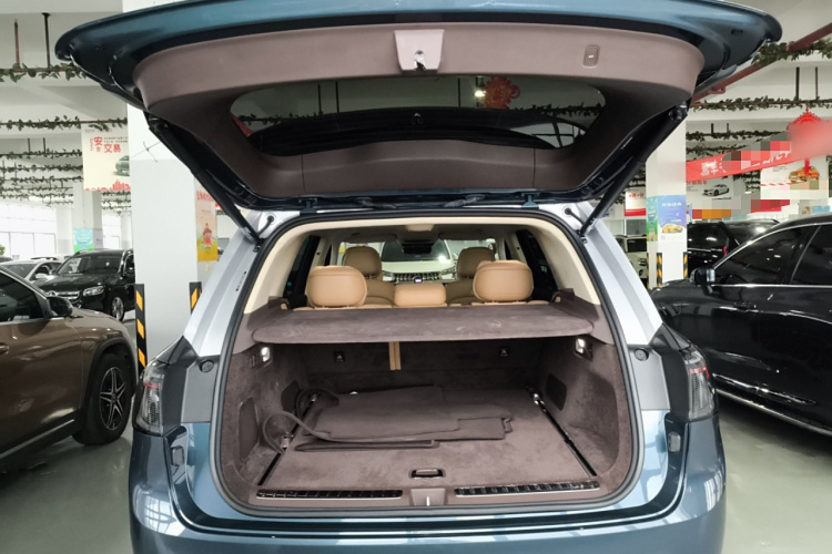 鸿蒙智行 问界M9 2024款 增程 Ultra版 52kWh 5座版局部细节23