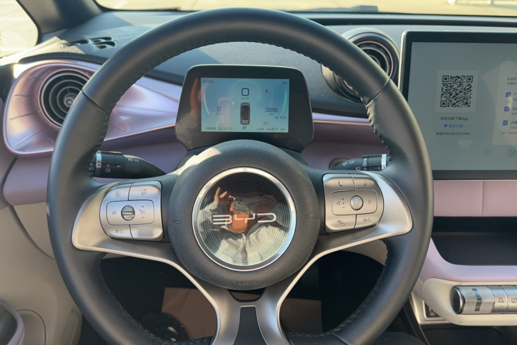 比亚迪 海豚 2021款 405km 时尚版局部细节13