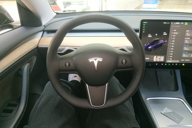 特斯拉 Model 3 2022款 后轮驱动版中控内饰13
