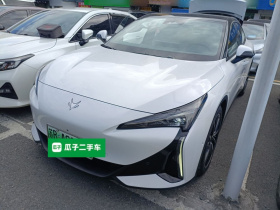 ARCFOX极狐 极狐 阿尔法S5 2024款 560MAX 185kW