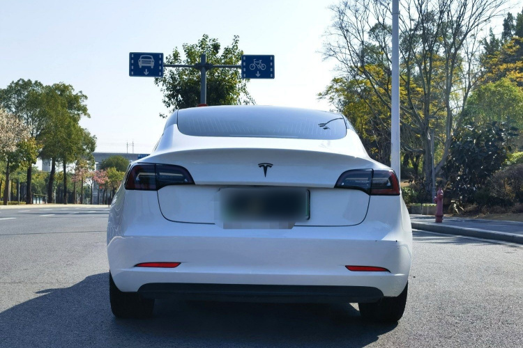 特斯拉 Model 3 2019款 标准续航后驱升级版车身外观6008