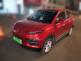 大运 悦虎 2022款 30.66kWh 两驱标准版