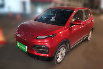 大运 悦虎 2022款 30.66kWh 两驱标准版