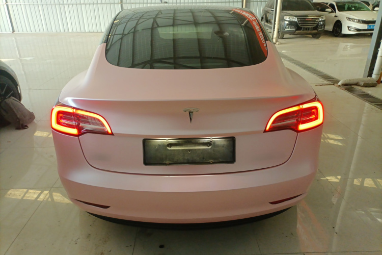 特斯拉 Model 3 2020款 标准续航后驱升级版车身外观6004