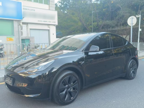 特斯拉 Model Y 2023款 后轮驱动版